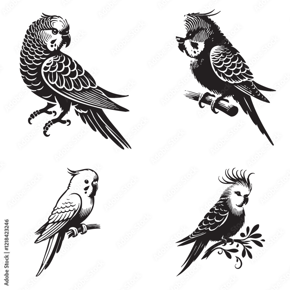Fototapeta premium black Vector Silhouette of a Parakeet Isolated on White Background