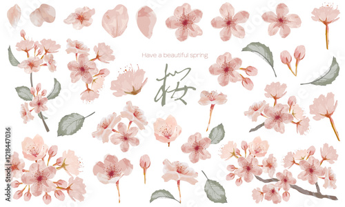 水彩で描いた桜のイラスト素材セット