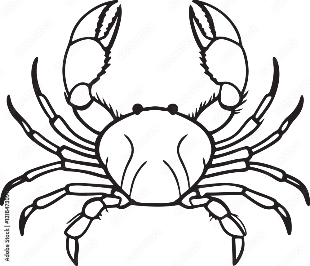 Crab Seafood Sketch Drawing Linear Line Art Engraving Style Black and White Vector Illustration Isolated on White Crab Seafood Sketch Drawing Linear Line Art Engraving Style Black and White Vector Illustration Isolated on White
