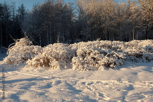 Obraz na płótnie Winter