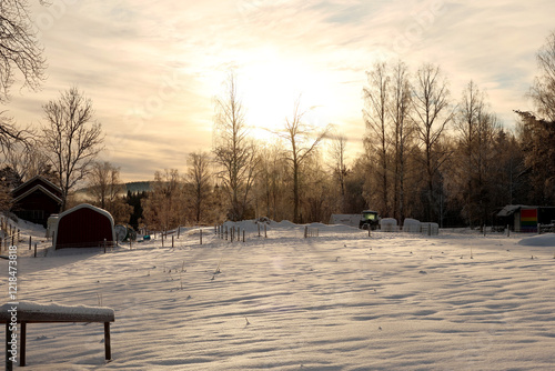Fototapeta kuchenna Winter