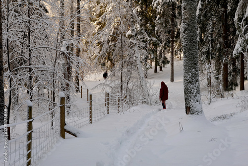 Obraz na płótnie Winter