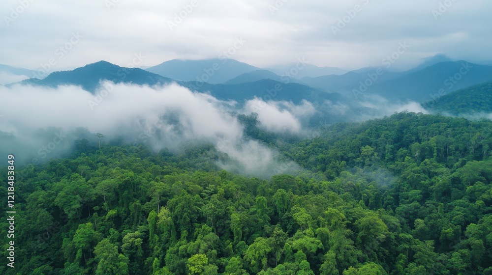 Misty Mountain Majesty: Aerial view of a lush green mountain range shrouded in mist, creating an ethereal and tranquil landscape. Misty Mountain Majesty: Aerial view of a lush green mountain range shrouded in mist, creating an ethereal and tranquil landscape.