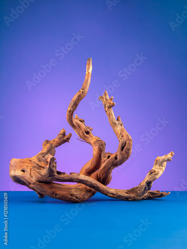 A detailed close-up of natural wooden driftwood, crafted for enhancing aquariums or terrariums, set against a vibrant purple background. photo