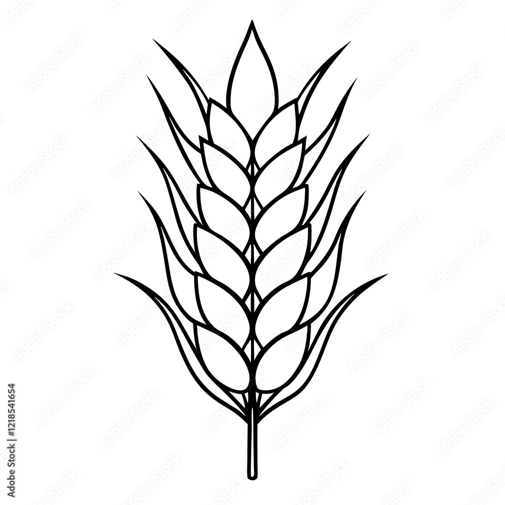 Fototapeta premium Wheat spike, agricultural plant illustration, simple line art on white background with copy space