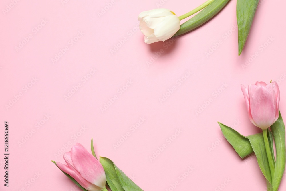 Fototapeta premium Beautiful fresh tulips on color background