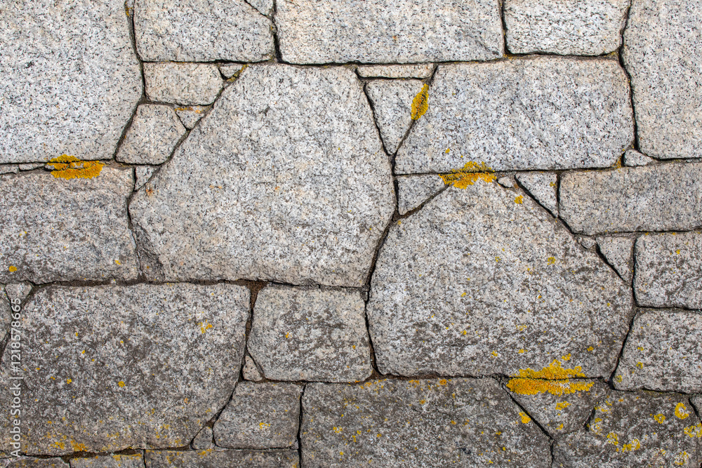 Obraz premium Wall Close-up