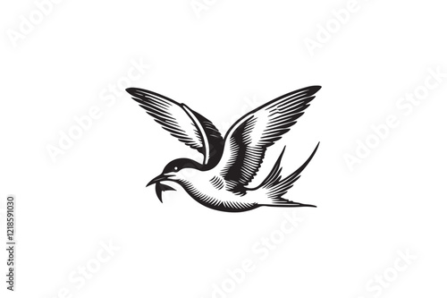 An Arctic tern bird vector silhouette  image made by adobe illustrator.