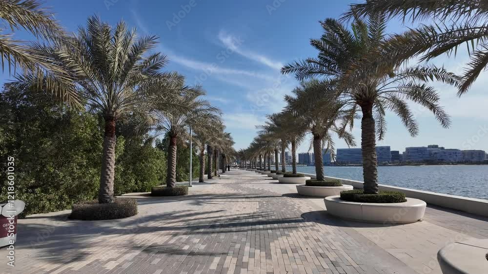 walking in the middle of palm trees on the Sea shore of Yas island Abu Dhabi UAE walking in the middle of palm trees on the Sea shore of Yas island Abu Dhabi UAE