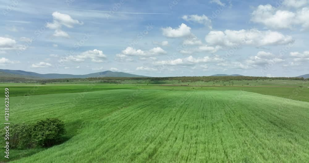 Vast green field under a bright cloudy sky Rolling hills and mountains in the distance Vast green field under a bright cloudy sky Rolling hills and mountains in the distance