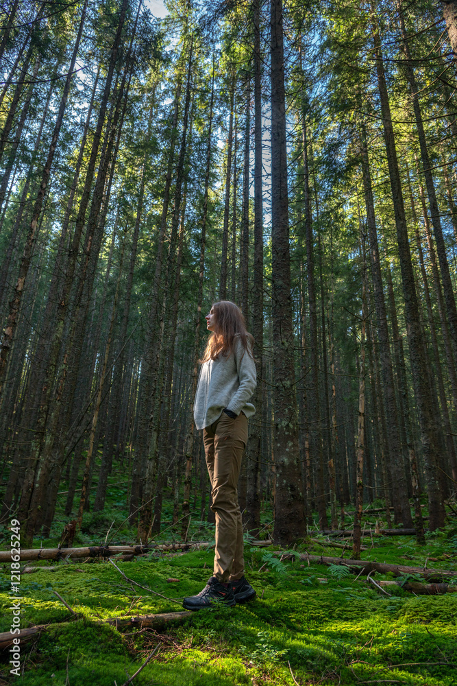 Female hiker in pine forest looking into the distance Female hiker in pine forest looking into the distance