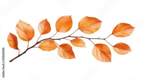 Elegant Swirling Crisp Orange Leaves Isolated on White Background