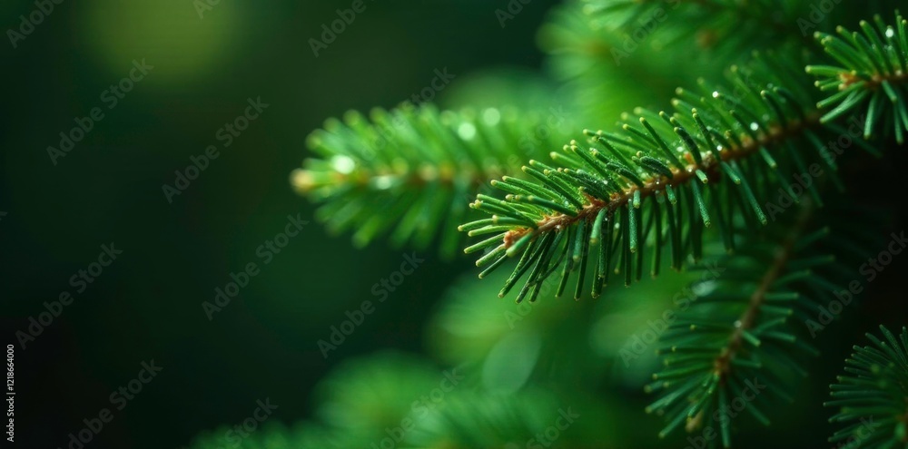 A delicate sprinkle of green glitter dust on the lush green branches of a fir Christmas tree, sparkling, glitters A delicate sprinkle of green glitter dust on the lush green branches of a fir Christmas tree, sparkling, glitters