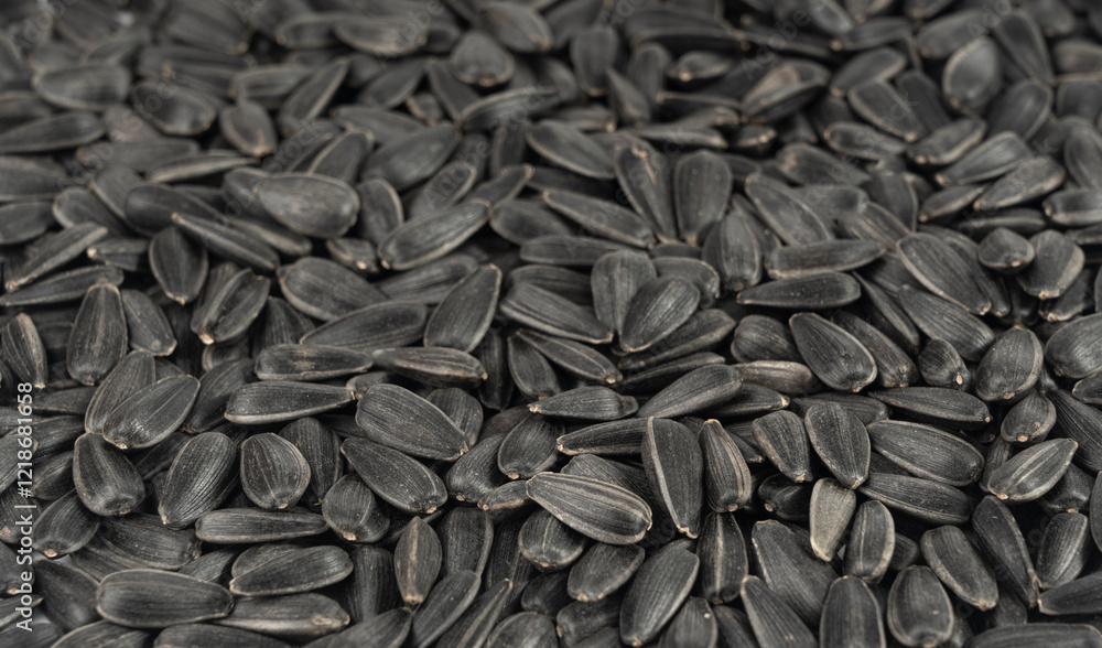Sunflower seeds texture background, black sun flower grains snack pattern, edible oil kernels Sunflower seeds texture background, black sun flower grains snack pattern, edible oil kernels
