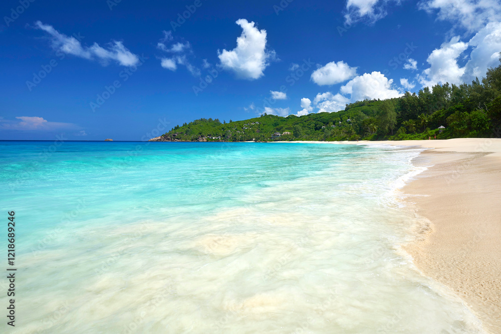 stunning turquoise water beach with white sand and green palm trees on the Seychelles island, Grand Anse stunning turquoise water beach with white sand and green palm trees on the Seychelles island, Grand Anse