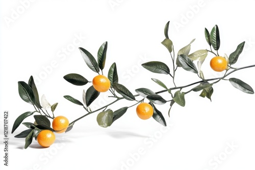 Wallpaper Mural Orange branch with leaves on white background Torontodigital.ca