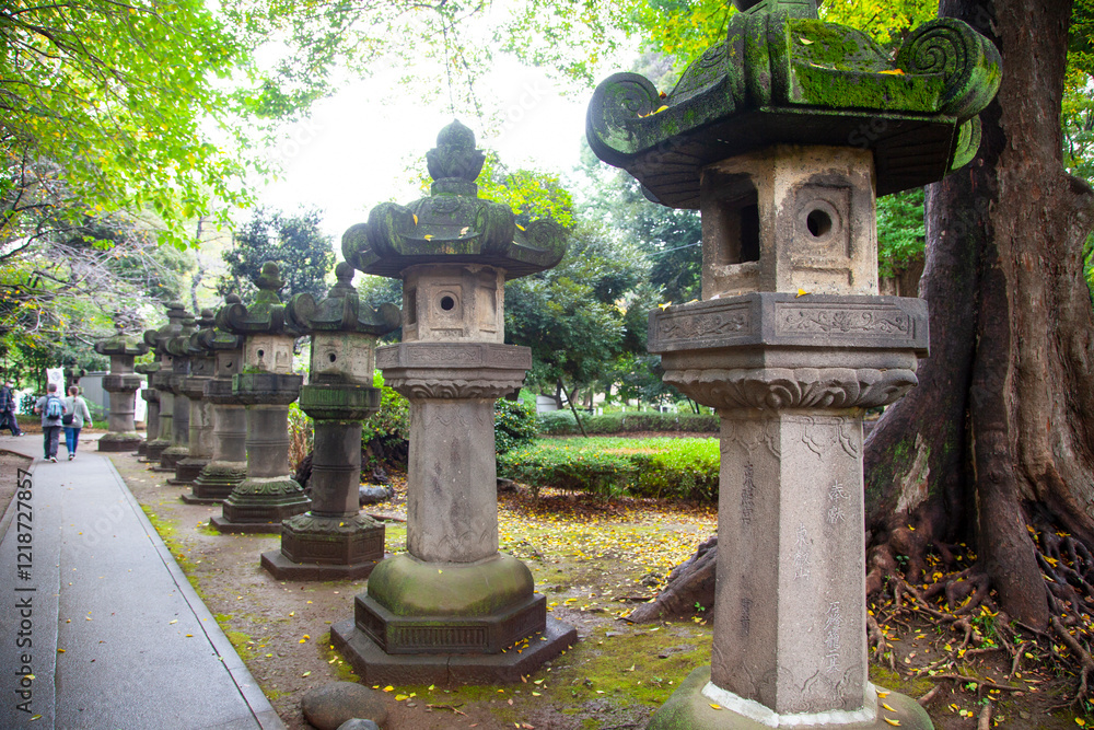 Stone lanterns at the Ueno Toshugu Shrine in Ueno Park Tokyo, Japan
Stone lanterns at the Ueno Toshugu Shrine in Ueno Park Tokyo, Japan