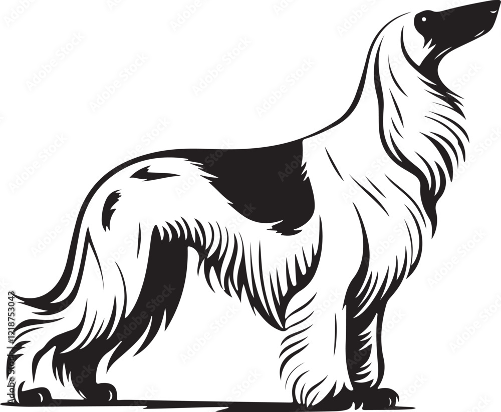Beautiful Afghan Hound Silhouette in Vector Style Beautiful Afghan Hound Silhouette in Vector Style