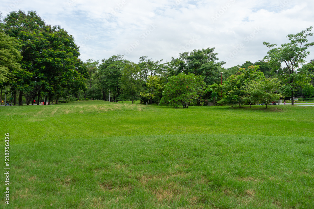 Beautiful nature at morning with sun in big city park Beautiful nature at morning with sun in big city park
