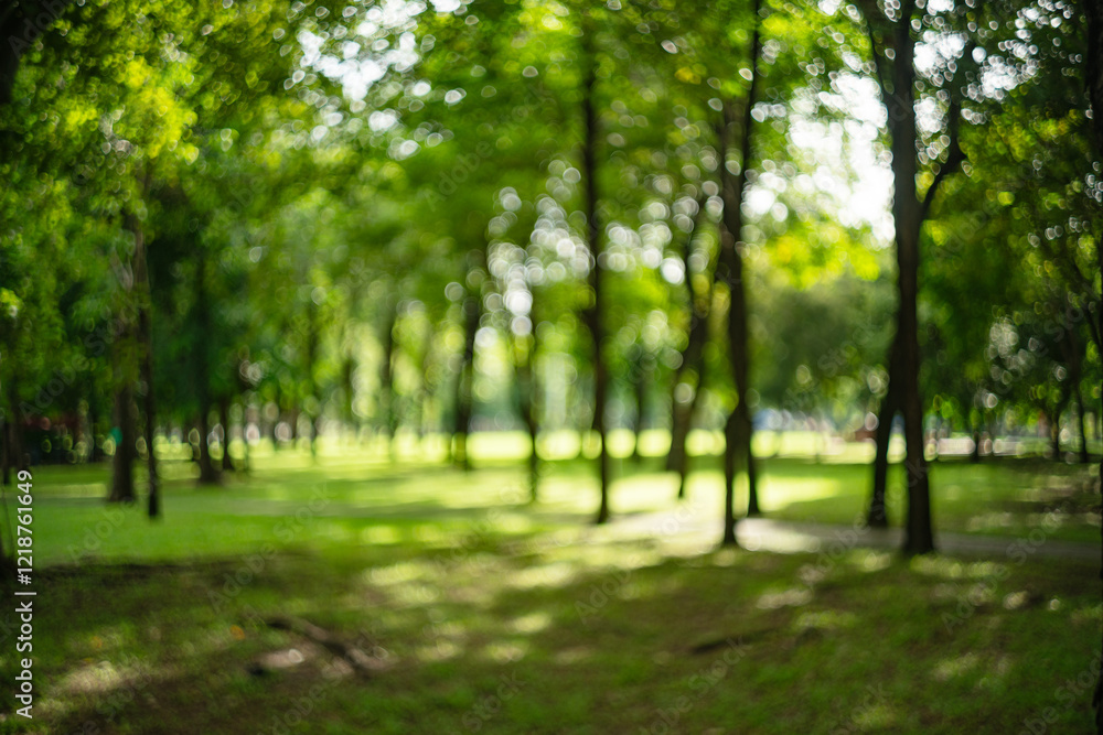 Beautiful nature at morning with sun in big city park Beautiful nature at morning with sun in big city park
