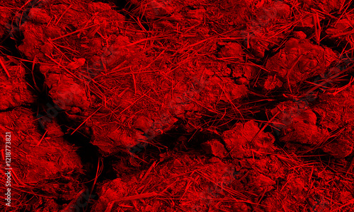 surface of the wet crack Red earth. red Cracked land or soil surface, soil texture. climate change, global warming concenpt, idea