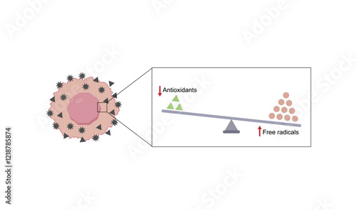 Oxidative stress, an imbalance of free radicals and antioxidants. Vector scientific illustration.	