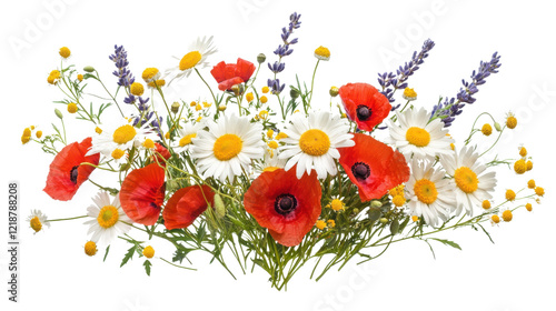 Wallpaper Mural Colorful meadow and garden flowers on transparent background Torontodigital.ca