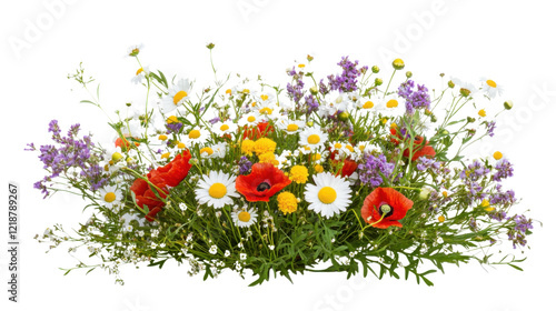 Fototapeta Naklejka Na Ścianę i Meble -  Colorful meadow and garden flowers on transparent background