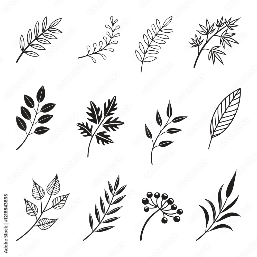 Leaf silhouette set, floral designs, botanical vector elements, herbs, branches, natural leaves, and plant illustrations for decorations, patterns, or graphic designs Leaf silhouette set, floral designs, botanical vector elements, herbs, branches, natural leaves, and plant illustrations for decorations, patterns, or graphic designs