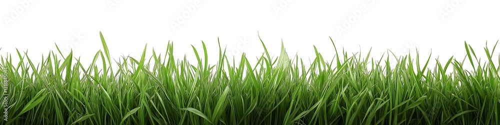 Fresh green grass isolated on white background, banner Fresh green grass isolated on white background, banner