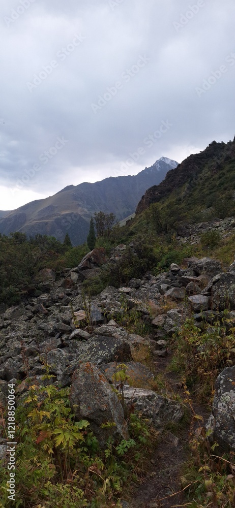 Mountain Mountain