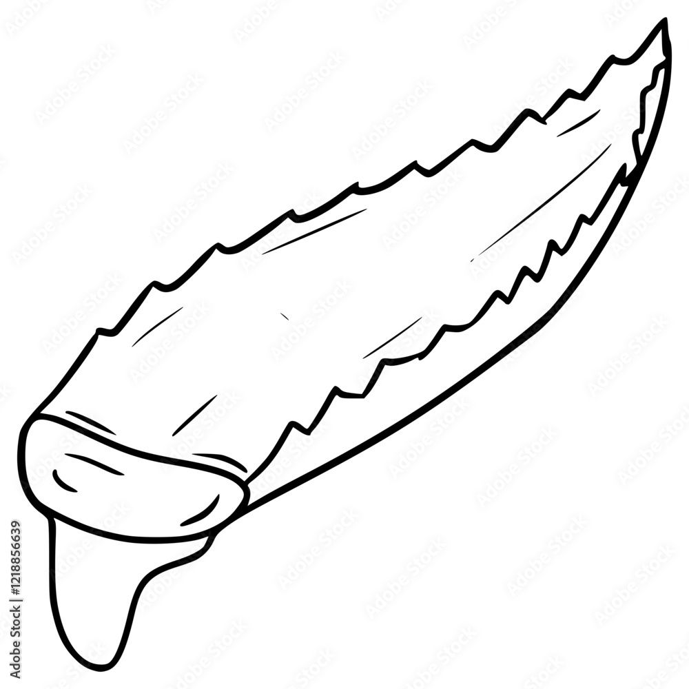 aloe vera illustration hand drawn outline vector aloe vera illustration hand drawn outline vector