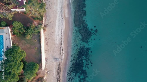 Wallpaper Mural sea waves gently hitting the shore, algae is visible under water and beach has pool and greenery Torontodigital.ca