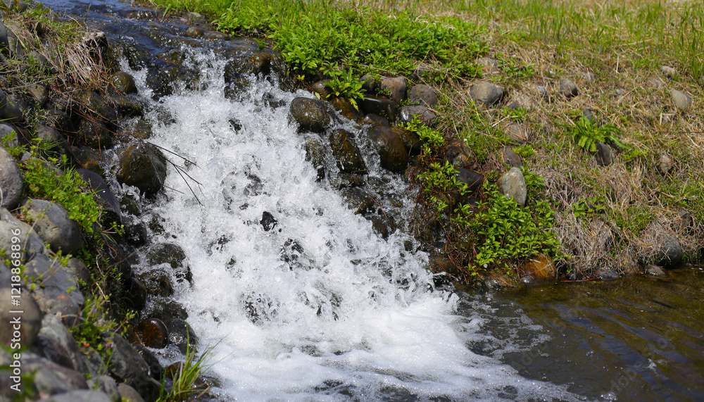 Naklejka premium Small canal with Cherry blossoms in full bloom, Natural and Cultural Gardens, The Expo 70 Commemorative Park, Osaka, Japan