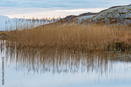 Reed beds and reflections in mountain lake  photo