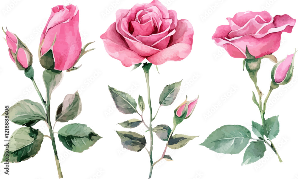 Fototapeta premium set of roses