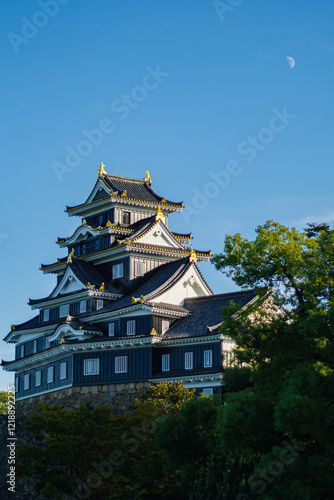 Wallpaper Mural 快晴の青空に映える天守閣　岡山城
 Torontodigital.ca