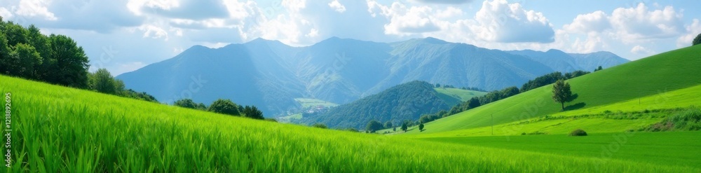 Green crops on a hillside with towering mountain peaks in the background, natural scenery, , field Green crops on a hillside with towering mountain peaks in the background, natural scenery, , field