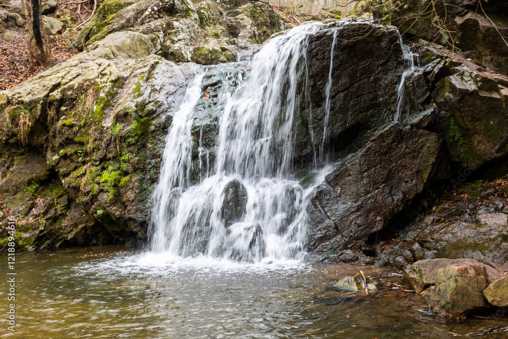 Obraz premium Cascade Falls within the Patapsco Valley State Park in Maryland USA