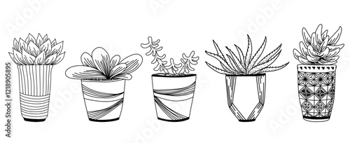 Vector ink  illustration with home plants in pots. Hand drawn ink vector illustration.