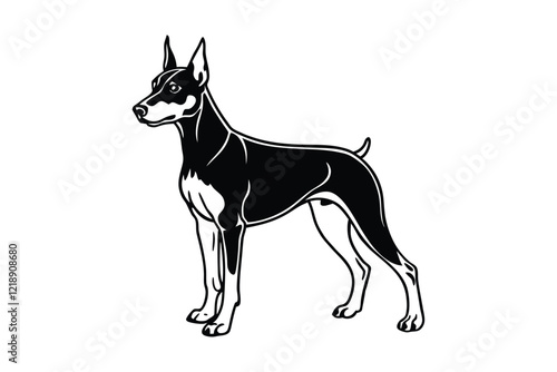 A Doberman Pinscher vector art silhouette illustration.eps