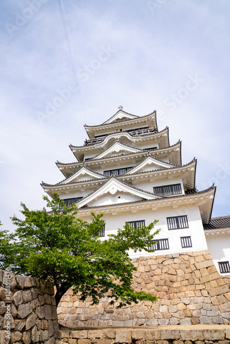 Obraz na płótnie 広島県福山の城、日本、5月 w salonie