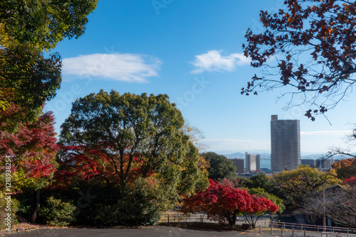 晴れた日の美しい紅葉の風景　滋賀県大津市皇子が丘公園 photo