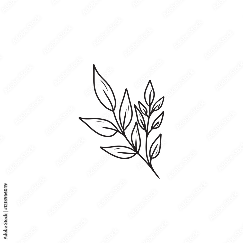 Beautiful abstract branch with leaves in black isolated on white background. Hand drawn vector sketch illustration in doodle engraved vintage line art style. Botanical design, icon, plant Beautiful abstract branch with leaves in black isolated on white background. Hand drawn vector sketch illustration in doodle engraved vintage line art style. Botanical design, icon, plant
