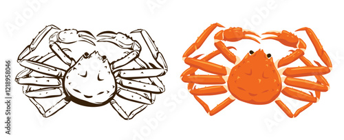 Snow crab Vector eps 10. background, perfect for wallpaper or design elements