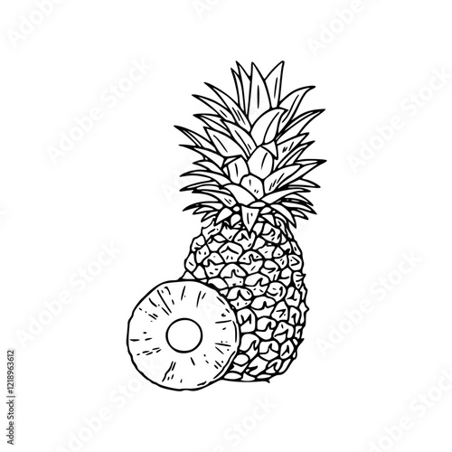 a detailed drawing of a pineapple isolated on white