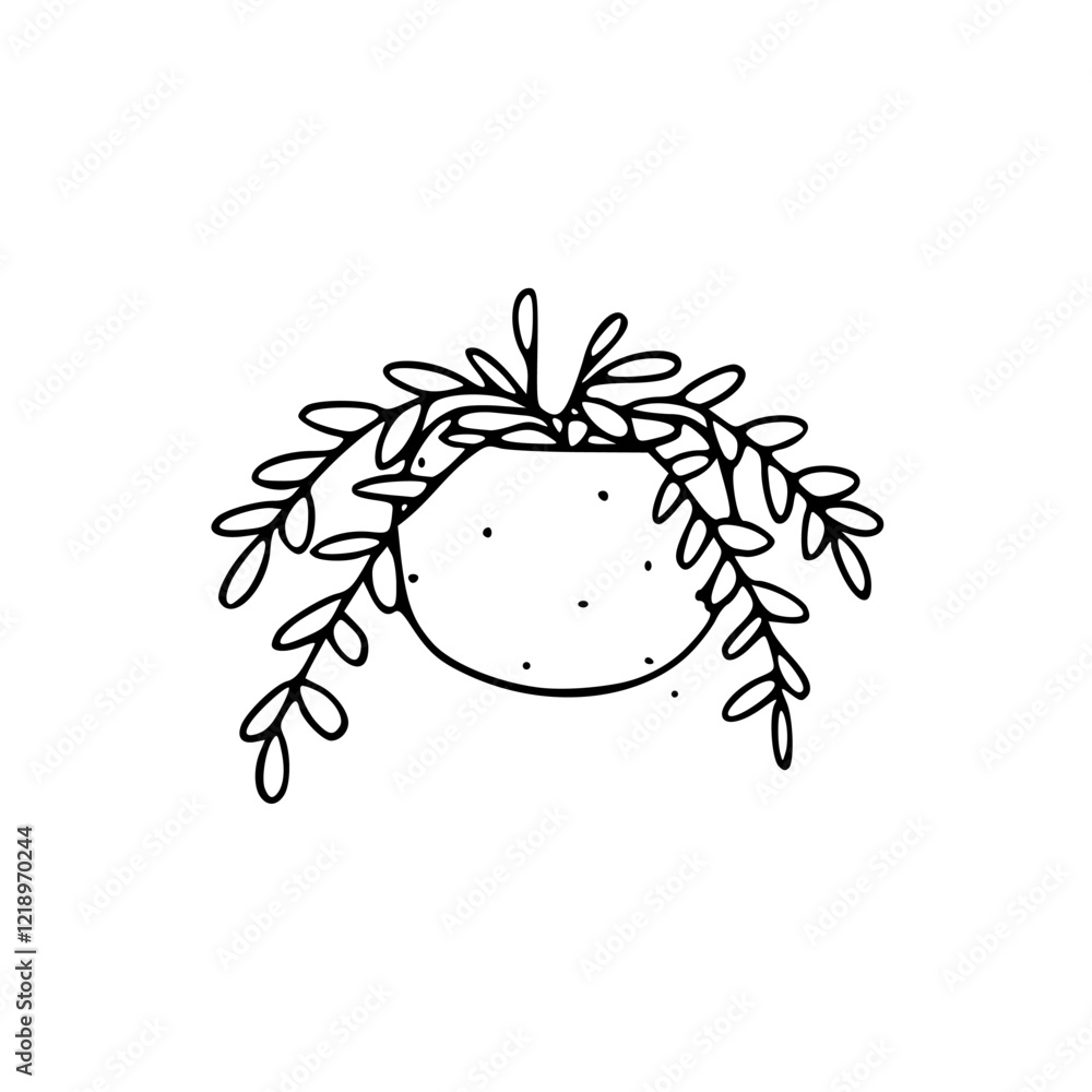 Fototapeta premium a line art drawing of a ornamental plants in pots illustration