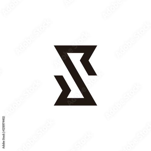 Letter S R elegant geometric symbol simple logo vector