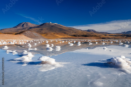 Details of salt rocks on laguna tuyajto in atacama region