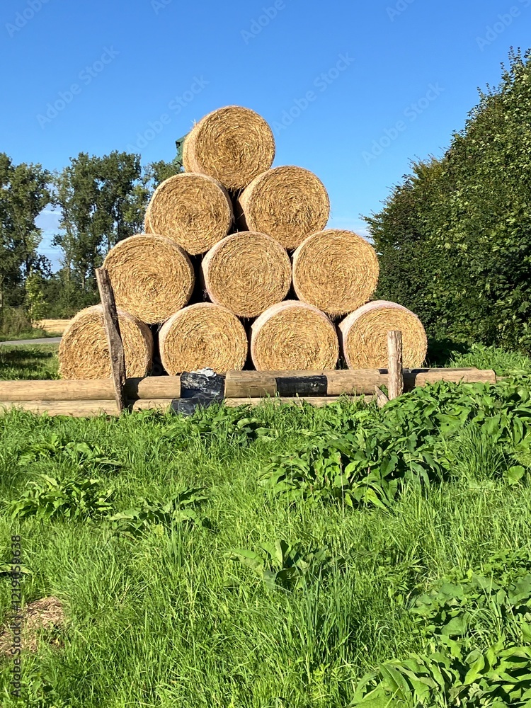 Runde Strohballen auf einem Feld in Wickede an der Ruhr im Sauerland Runde Strohballen auf einem Feld in Wickede an der Ruhr im Sauerland